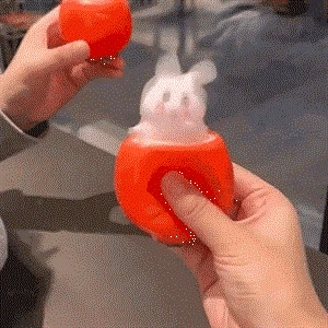 POP UP Carrot Bunny (make life more joy)